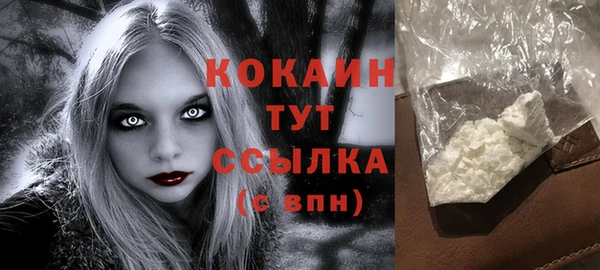шишки Покров