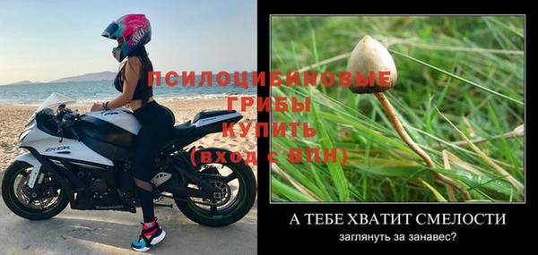 МДМА Новодвинск