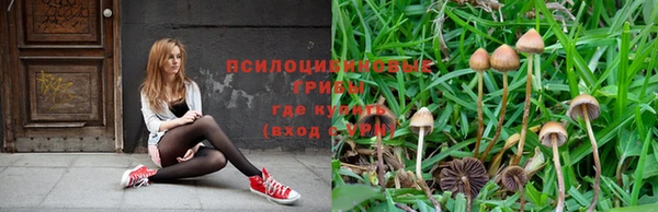 марки nbome Новозыбков