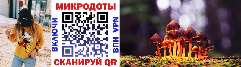 Галлюциногенные грибы MAGIC MUSHROOMS  где можно купить наркотик  МЕГА вход  Саров 