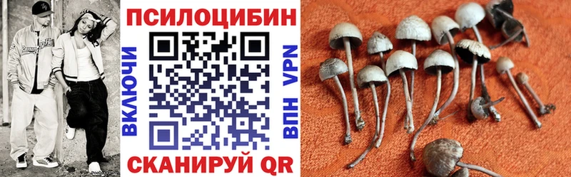 Галлюциногенные грибы MAGIC MUSHROOMS Саров